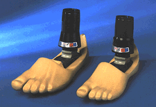 Multiaxial Foot